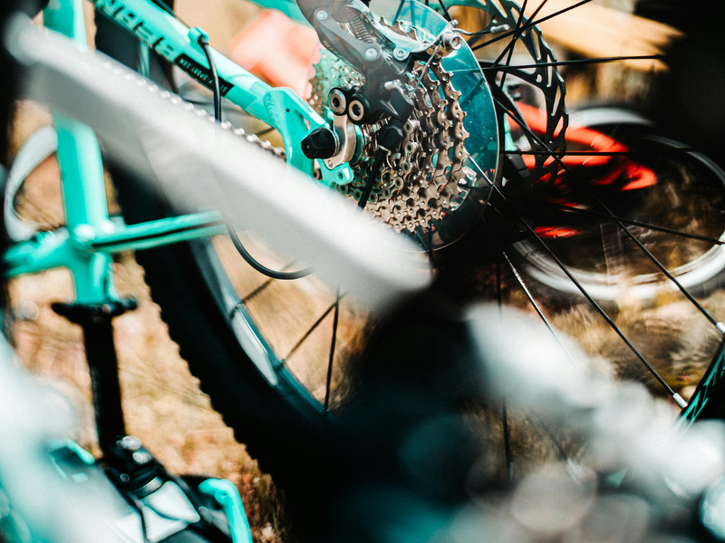 Kinder beim Mountainbiking
